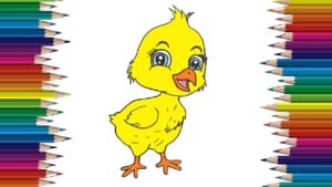 How to draw a baby chick cute and easy step by step - Easy animals to draw so cute