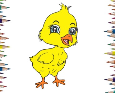 How to draw a baby chick cute and easy – Cartoon chicken drawing step by step