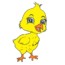 How to draw a baby chick cute and easy – Cartoon chicken drawing step by step