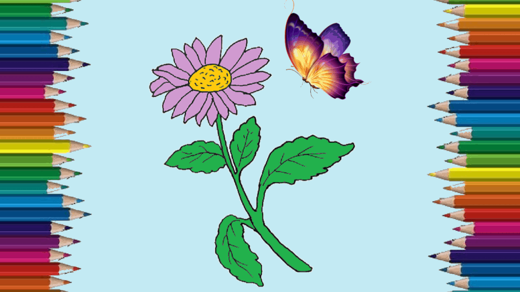 How to a aster flower step by step - aster flower drawing easy