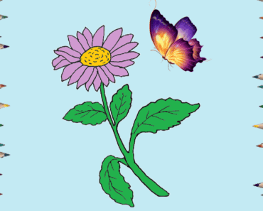 How to draw a aster flower step by step – Aster flower drawing easy