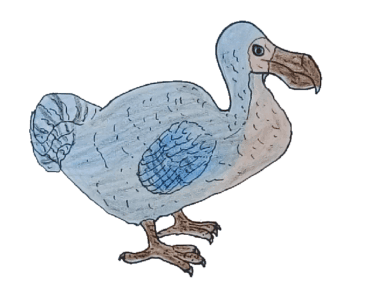 How to draw a Dodo step by step – Dodo drawing easy for beginners