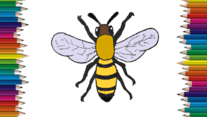 How to draw a bee step by step