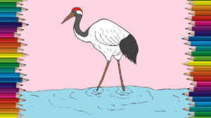 Red crowned crane drawing and coloring for kids - How to draw a Red crowned crane