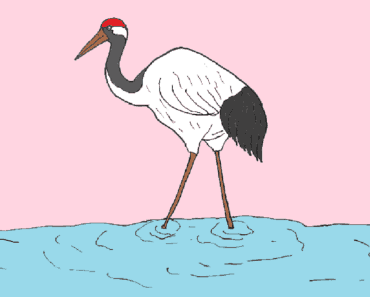 How to draw a Red crowned crane – Red crowned crane drawing for beginners