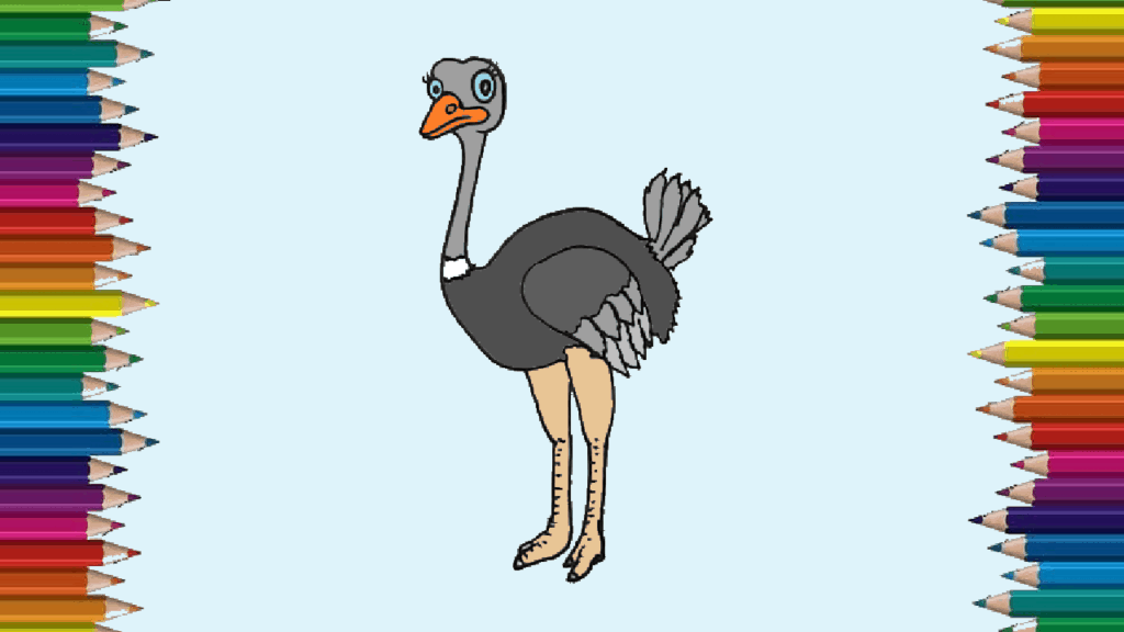 Cute Ostrich drawing and coloringfor kids - How to draw a cute Ostrich easy