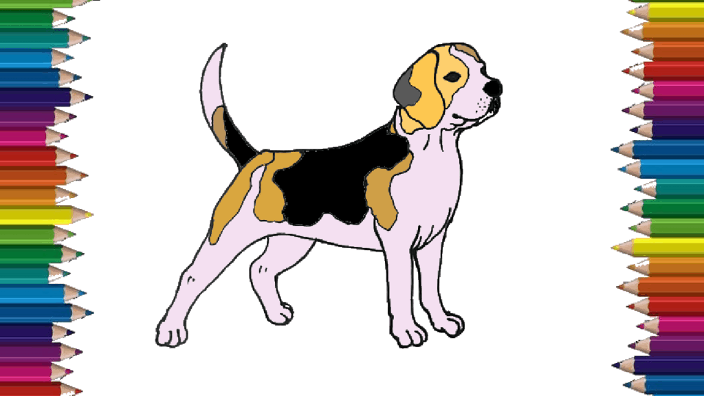 How to draw a Beagle easy – Beagle dog drawing step by step for beginners