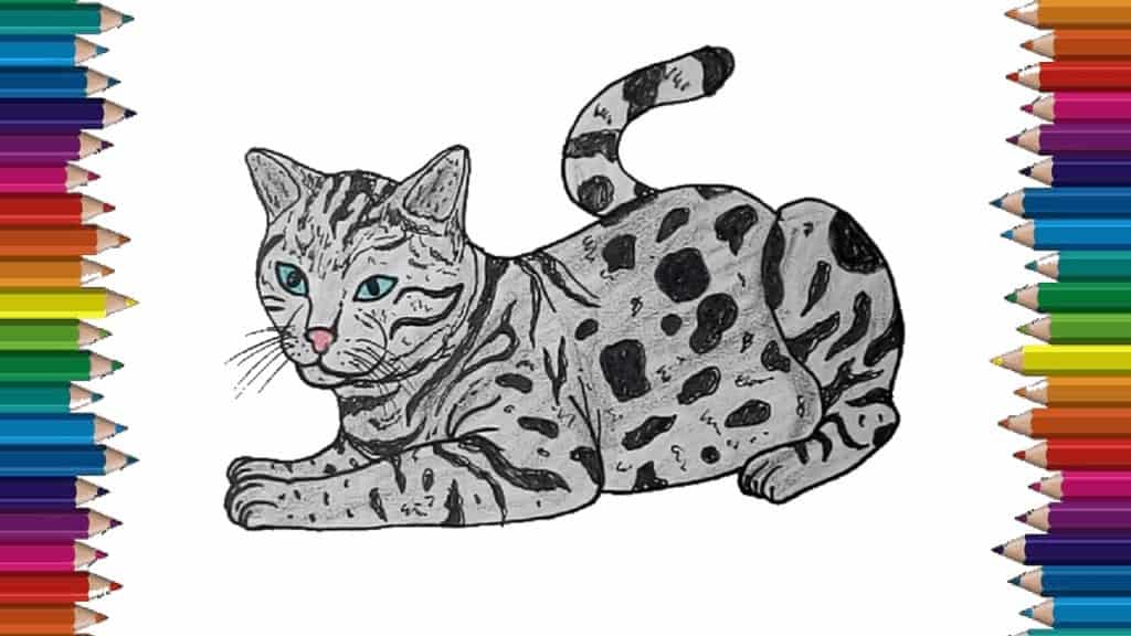How to draw a Bengal cat step by step – Cat drawing easy for beginners