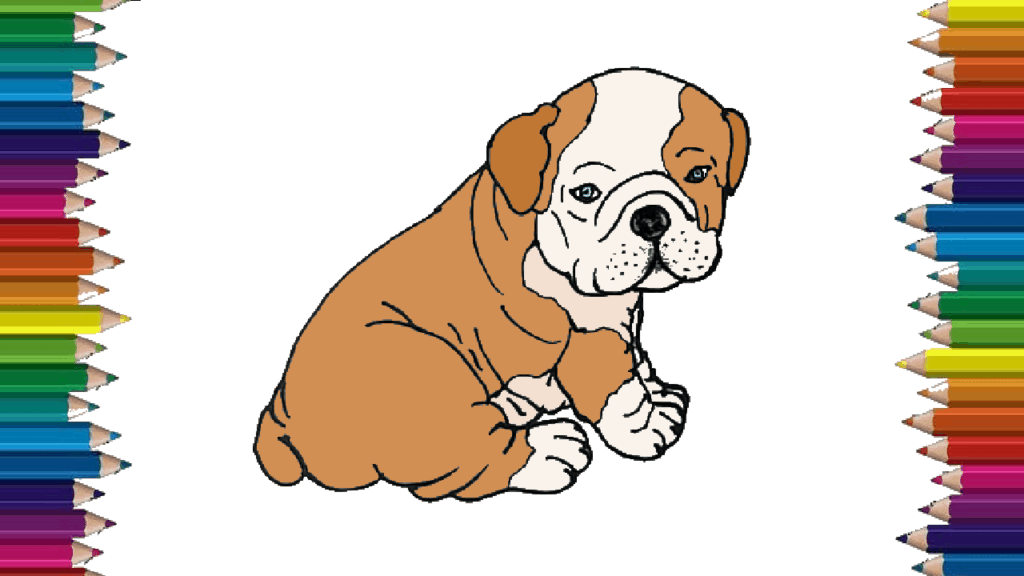 How to draw a bulldog step by step – Cute dog drawing easy for beginners