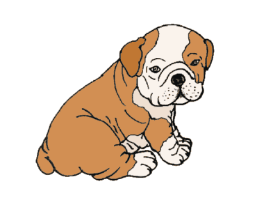 How to draw a bulldog step by step – Cute dog drawing easy for beginners