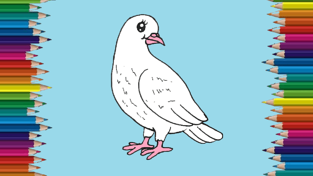 How to draw a cute dove easy for kids - Cartoon Dove drawing step by step