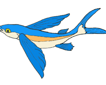 How to draw a flying fish step by step – Cartoon Fish drawing easy for beginners