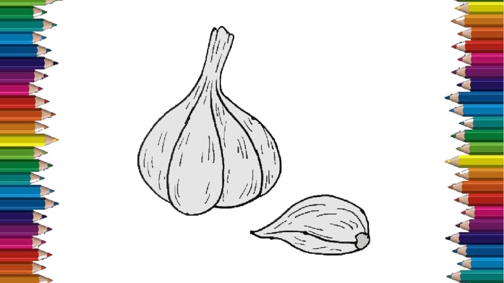 How to draw a garlic step by step - Garlic drawing easy for kids