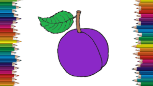 How to draw a plum step by step - Plum drawing and coloring for kids