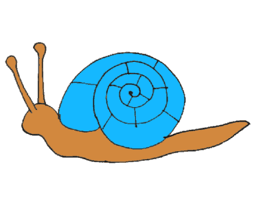 How to draw a snail step by step – Cartoon Snail drawing easy for kids