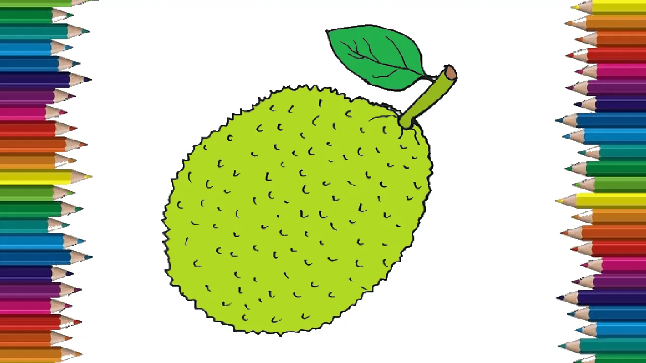 How to draw jackfruit easy for kids - Jackfruit drawing and coloring