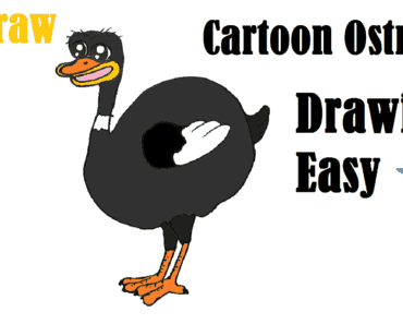 Cartoon Ostrich drawing and coloring for beginners