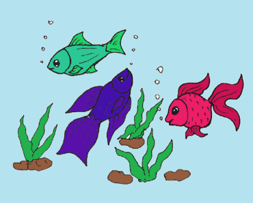How to draw Aquarium fish – cartoon fish drawing and coloring for kids
