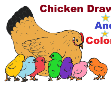 Chicken drawing and coloring for beginners