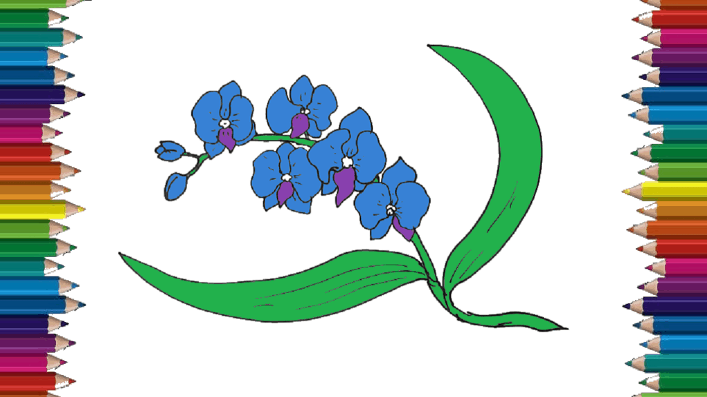 How to draw an orchid step by step | flower drawing easy