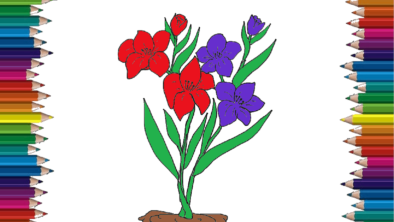 How to draw gladiolus flower | Flower drawing and coloring.