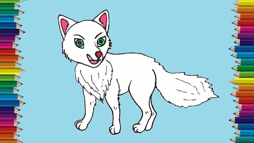 How to draw a arctic fox step by step