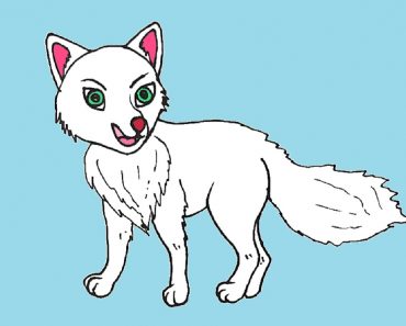 How to draw a arctic fox step by step