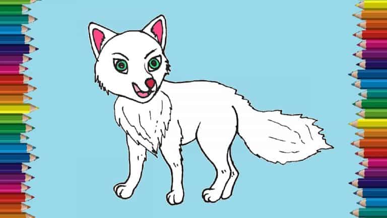 How to draw a arctic fox step by step