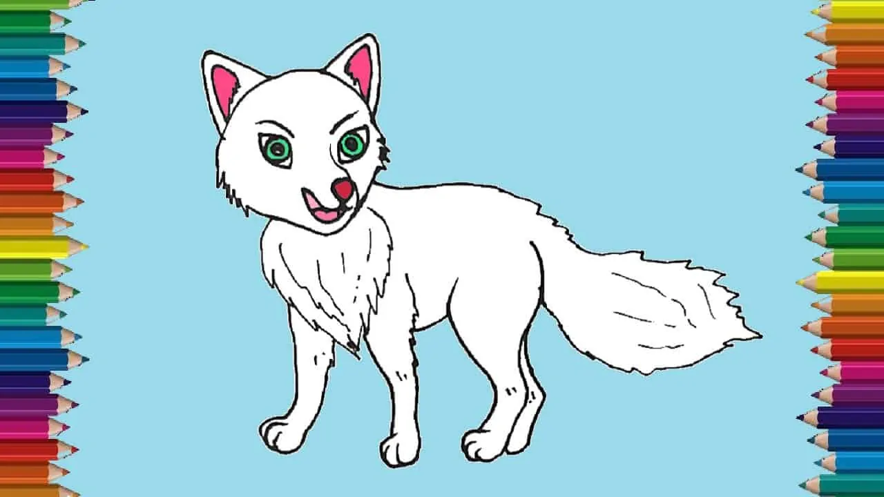 How to draw a arctic fox step by step