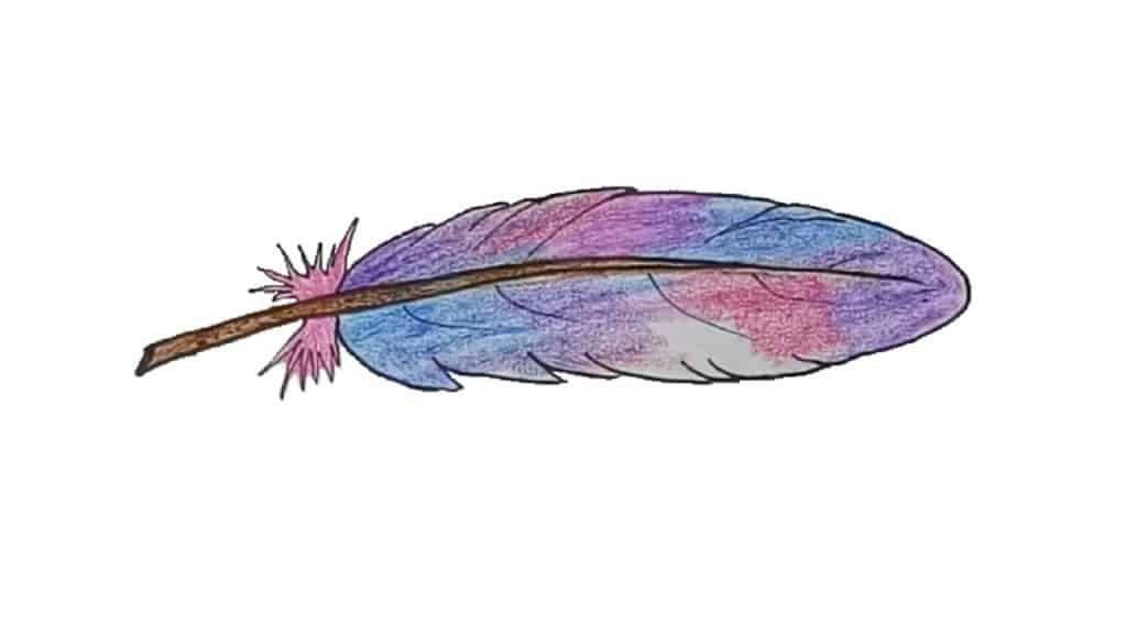 How to Draw a Feather step by step