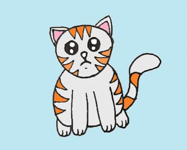 How to draw a cute kitten easy for beginners
