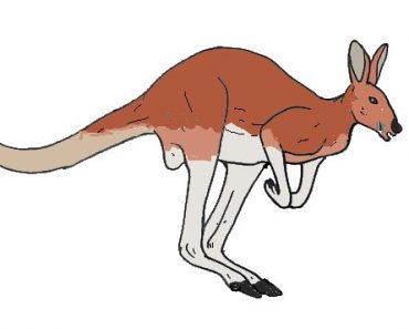 Kangaroo in australia fire drawing step by step