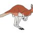 Kangaroo in australia fire drawing step by step
