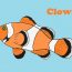 How to Draw a Clownfish step by step
