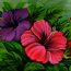 How to paint Hibiscus Flower
