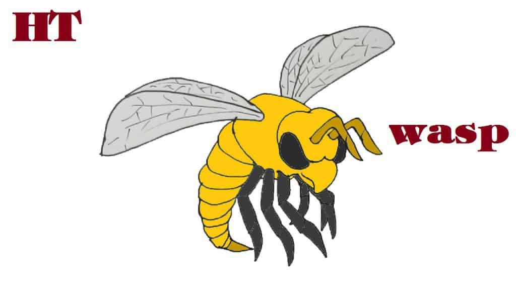 How to draw a Wasp step by step