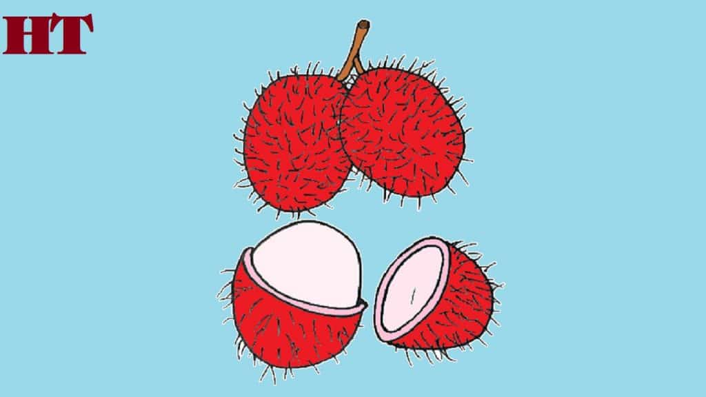 How to draw Rambutan fruit easy
