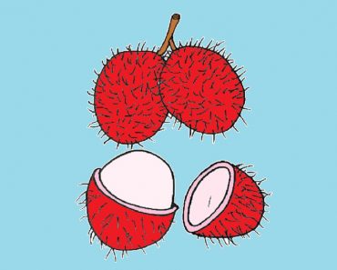 How to draw Rambutan fruit step by step