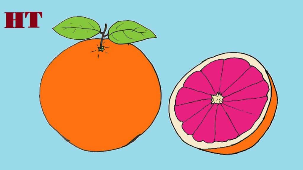 How to draw a Grapefruit easy