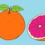 How to draw a Grapefruit step by step