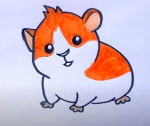 How to draw a hamster step by step