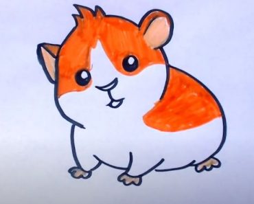 How to Draw a Golden Hamster step by step