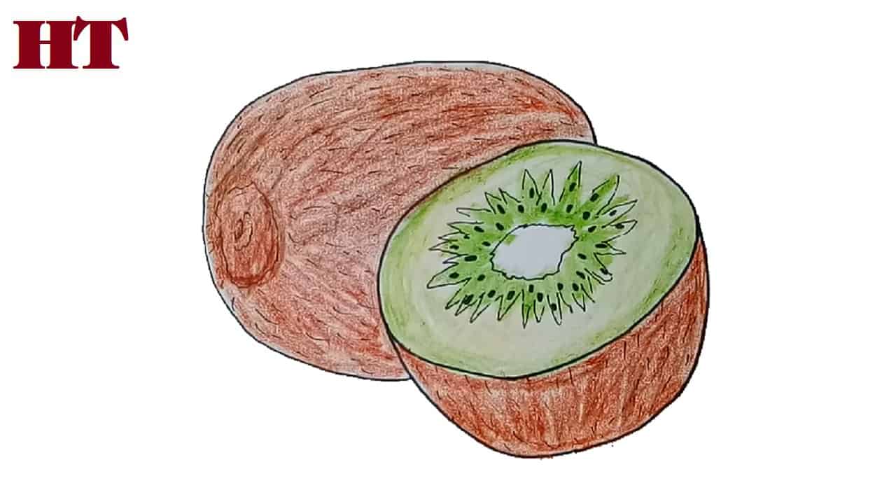 How to draw a kiwi fruit step by step