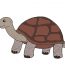How to draw a tortoise step by step