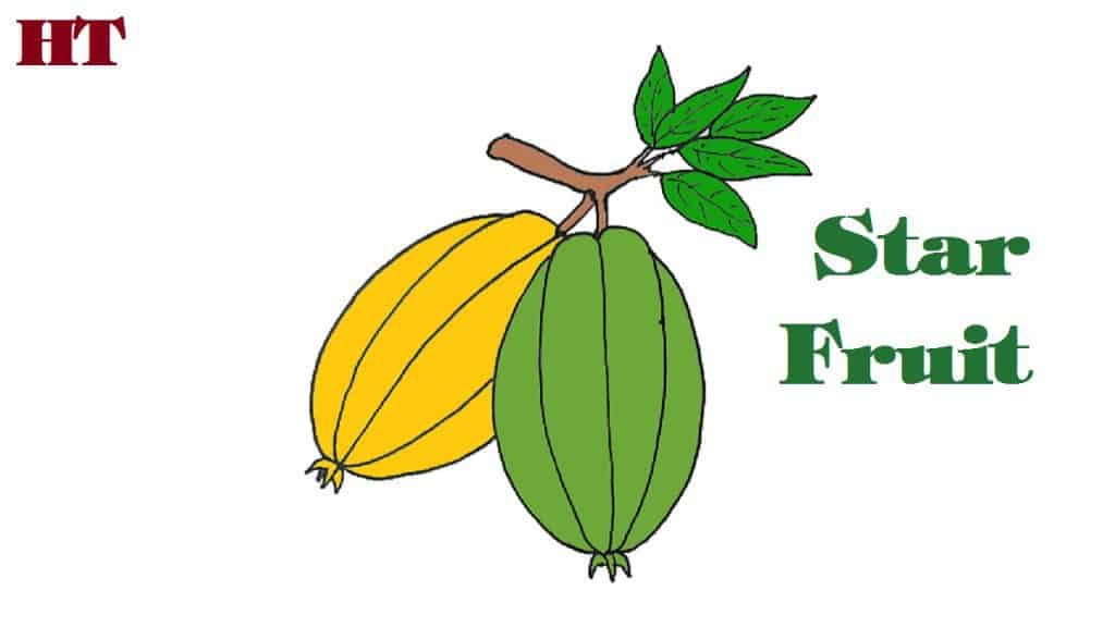 How to draw star fruit easy