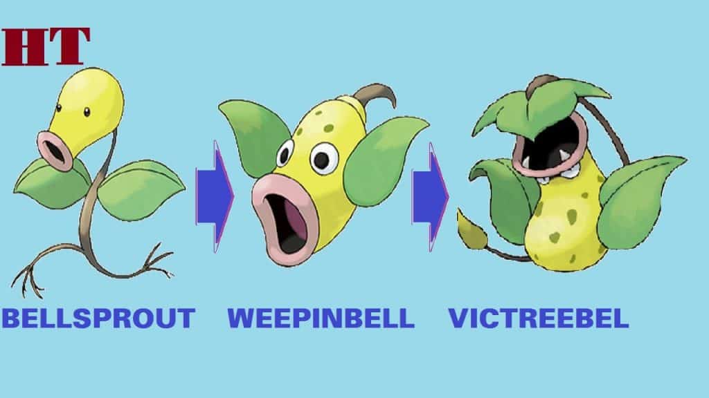 bellsprout evolution drawing