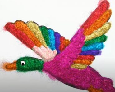 Glitter Rainbow Mallard Coloring Pages – How to draw a Mallard duck