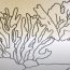How to Draw an Acropora step by step