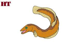 How to draw a cartoon eel
