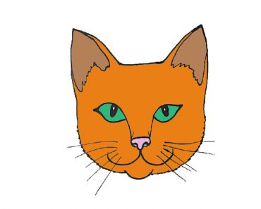 How to draw a cat face step by step easy